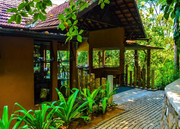 Rainforest Resort