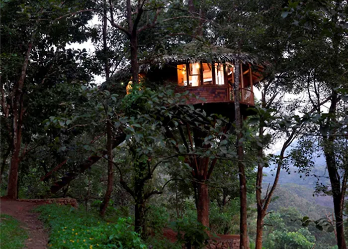 Rainforest Resort