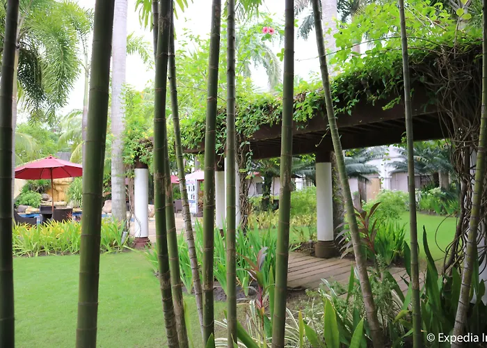 Mount Sea Resort
