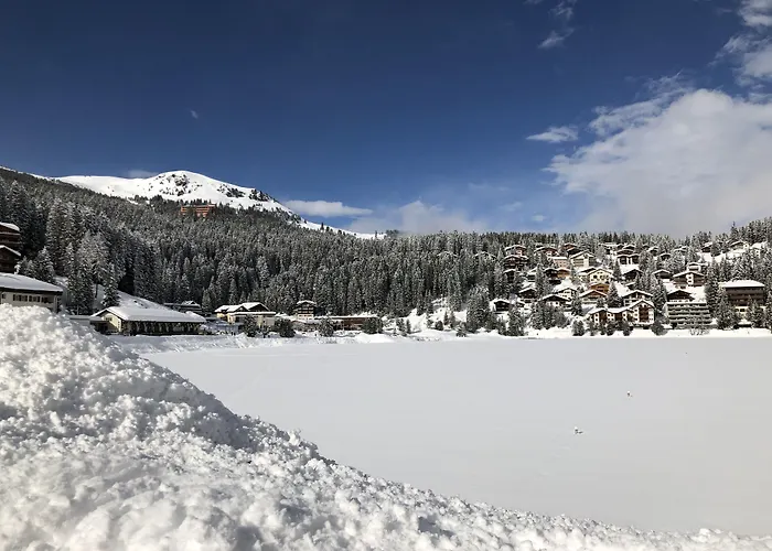 Arosa Vetter Hotel