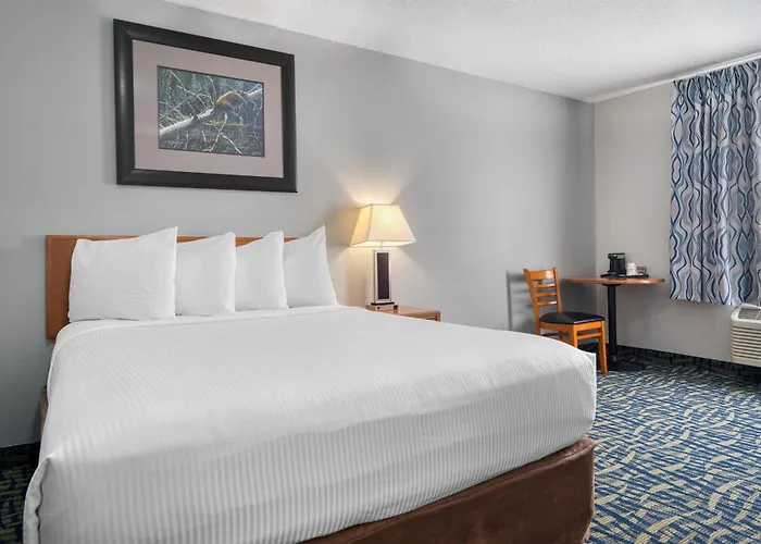 Surestay Plus Hotel By Best Western Lethbridge
