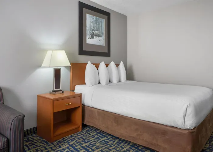 Surestay Plus Hotel By Best Western Lethbridge