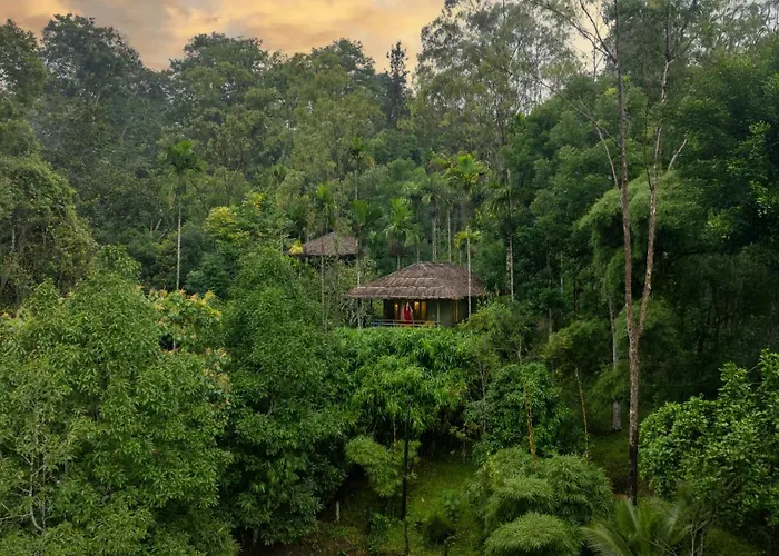 The Woods Resorts Wayanad