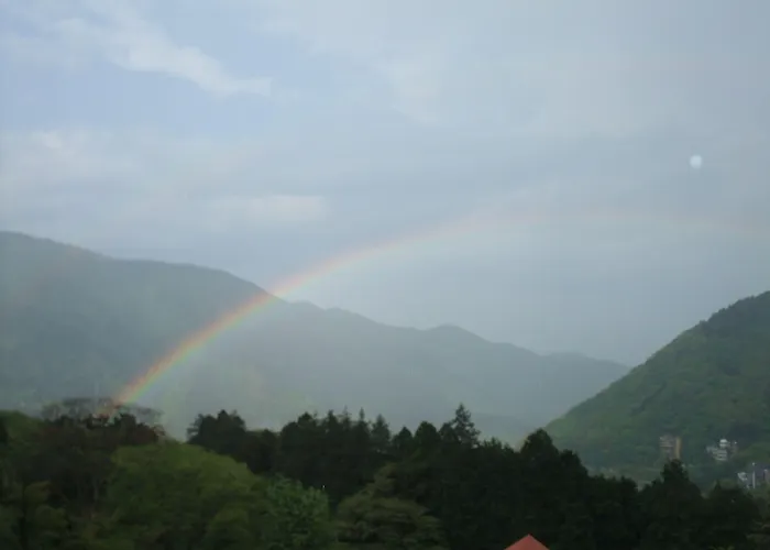 Hakone Forest Of Verde