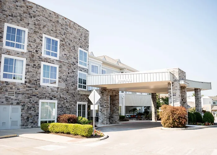Courtyard By Marriott Philadelphia Springfield Hotel