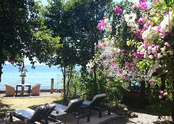 Dolphin House Resort Moalboal