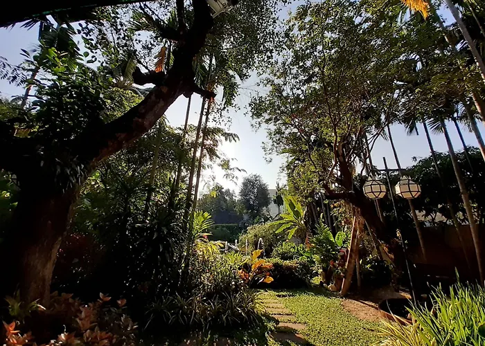 Viang Thapae Resort