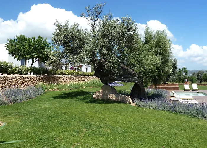 Casa Maca Hotel Ibiza Town