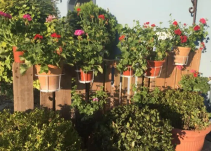 Hotel Patilla Ciudad de Requena