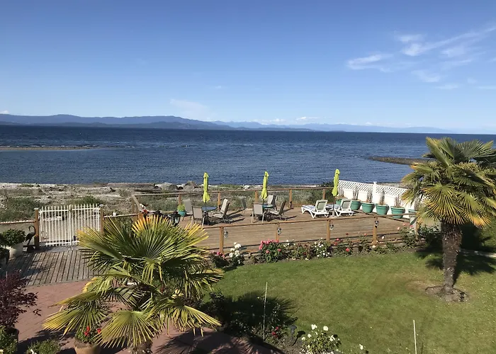 Buena Vista By The Sea