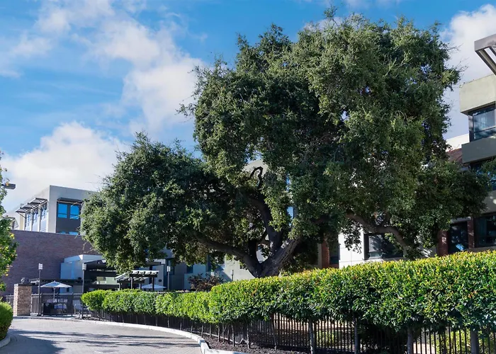 Homewood Suites By Hilton Palo Alto