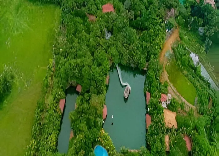 Mango Meadows