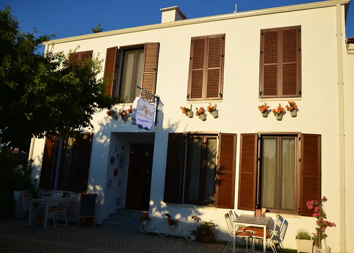 Nova Citrus Otel
