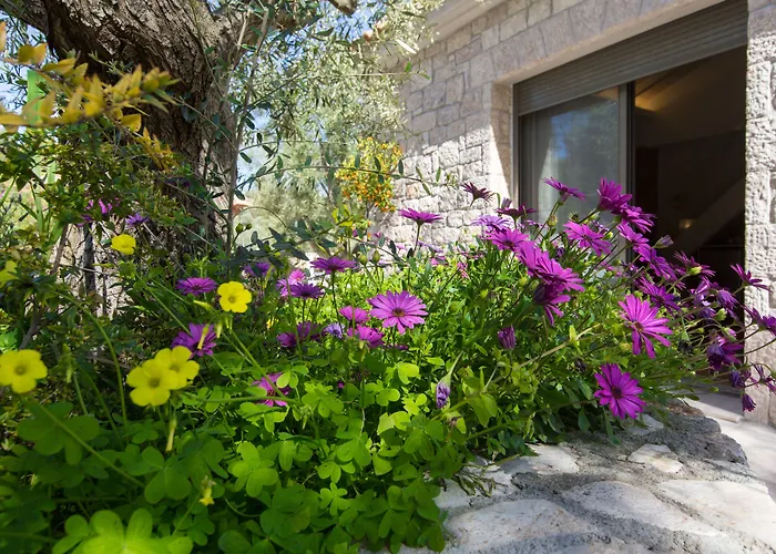 Anthemion Suites And Villas