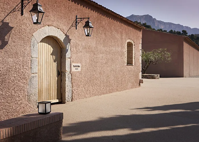 Terra Dominicata - Hotel & Winery - Adults Only