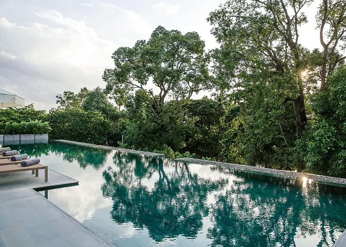 Treeline Urban Resort