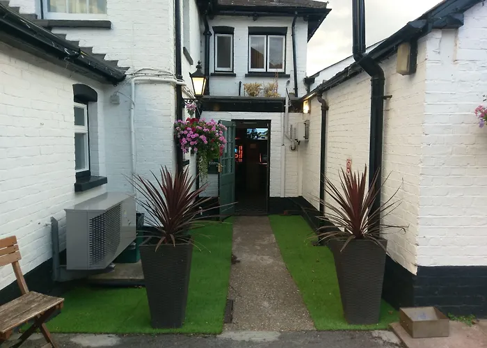 The Rifle Volunteer