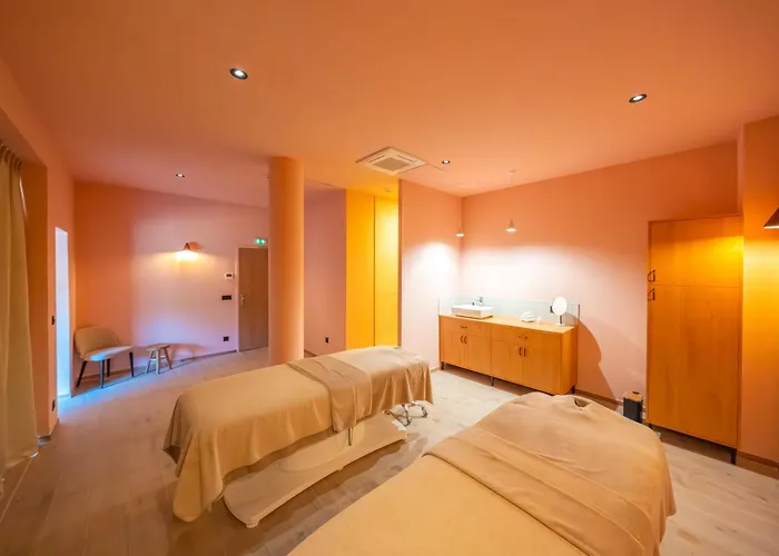 Best Western Premier Clos Syrah Hotel & Spa Valence 