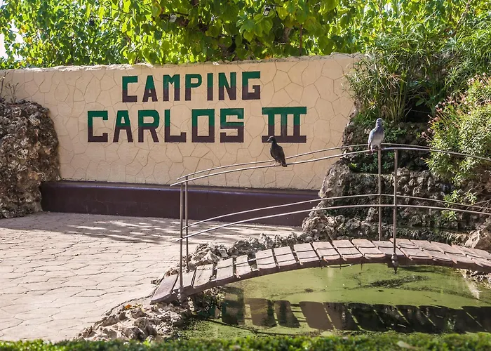 Camping Carlos III