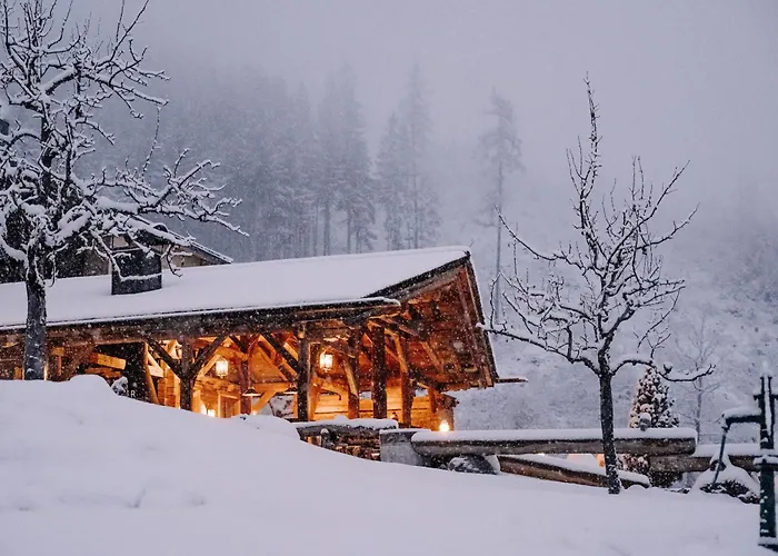 Aster Boutique Hotel & Chalets