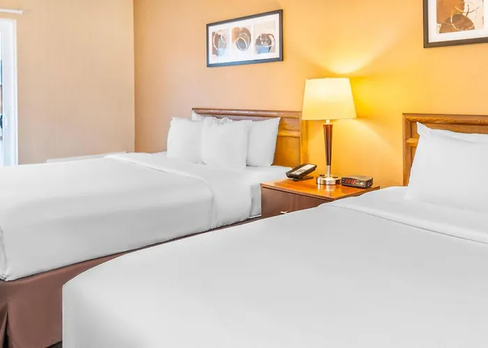 Comfort Inn