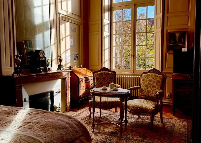 L'Hotel De Panette, Un Exceptionnel Chateau En Coeur De Ville