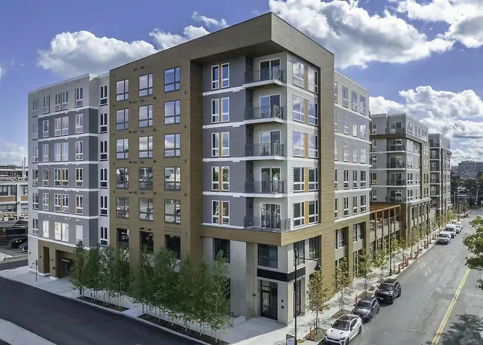 Luxury Apartments By Hyatus Boston Somerville