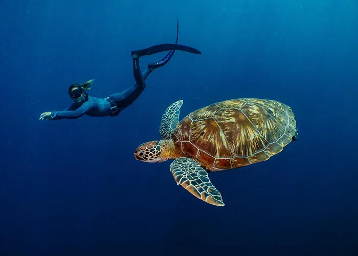 Bunaken Oasis Dive And Spa