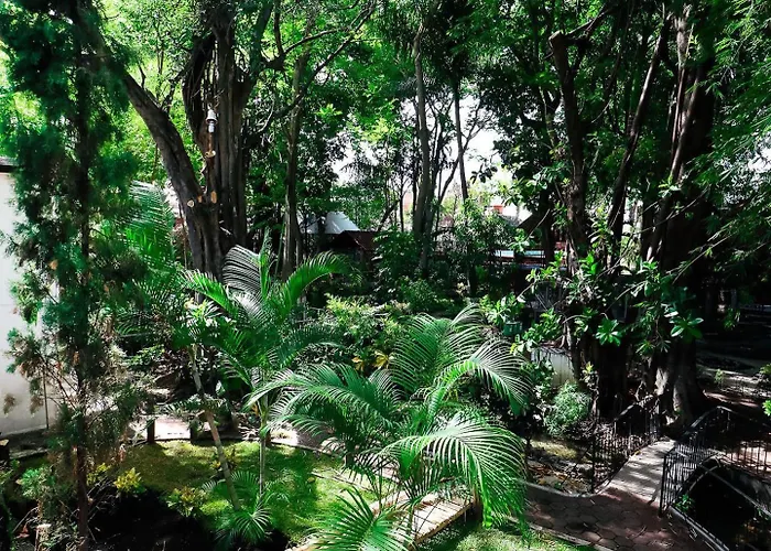 Hotel Boutique Canto Del Agua Chiconcuac