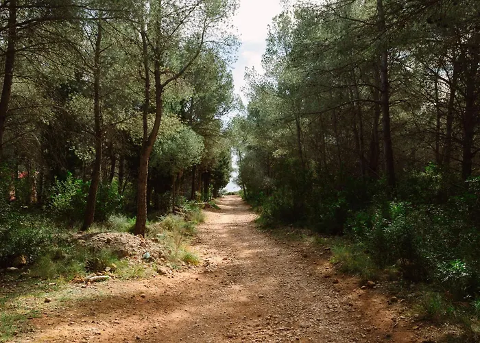 Camping Ribamar Alcossebre