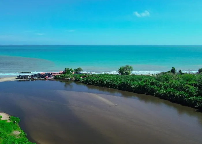 Rincon Del Mar Palomino