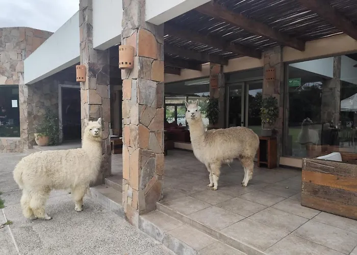 Hotel Limari