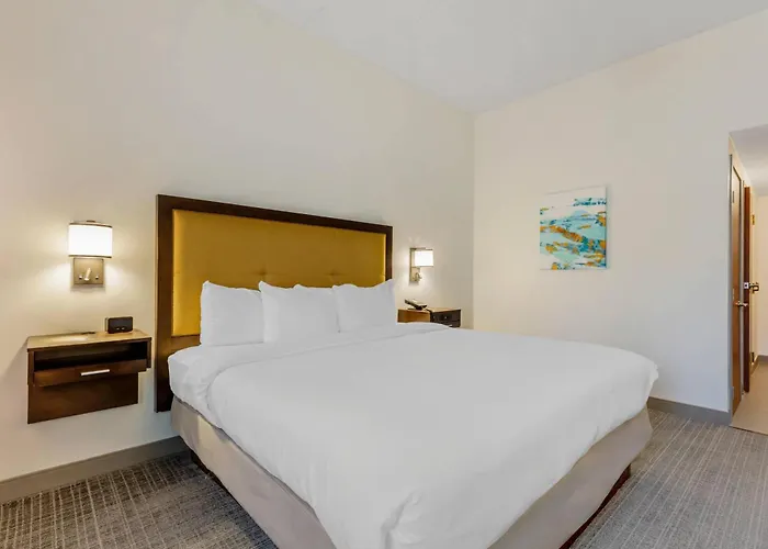 Comfort Inn Laurel - Fort Meade