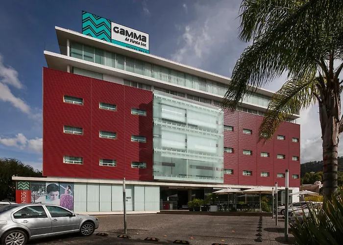 Gamma Morelia Belo