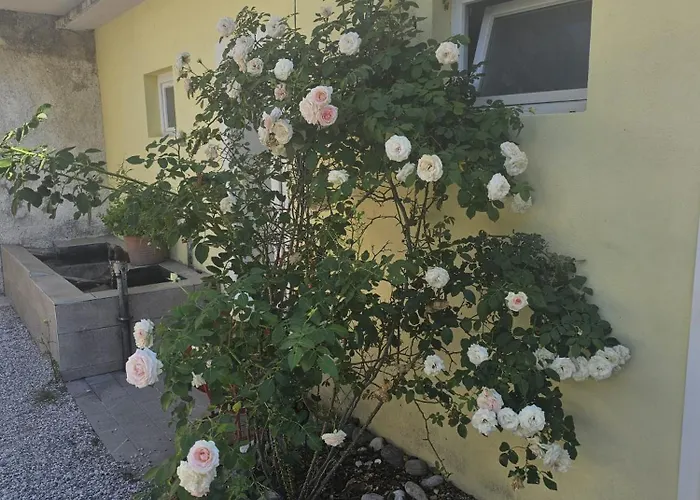 La Corte di Rosa