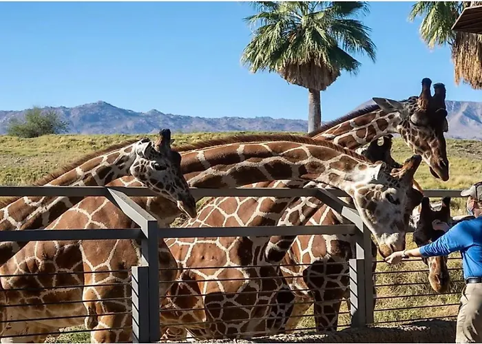 Holiday Inn Express Palm Desert By Ihg