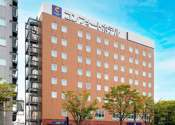 Comfort Hotel Tsubamesanjo
