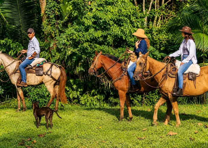 Boutique Maitta En Doradal Antioquia
