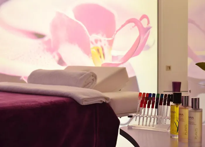 Holiday Inn Dijon Toison D'Or By Ihg