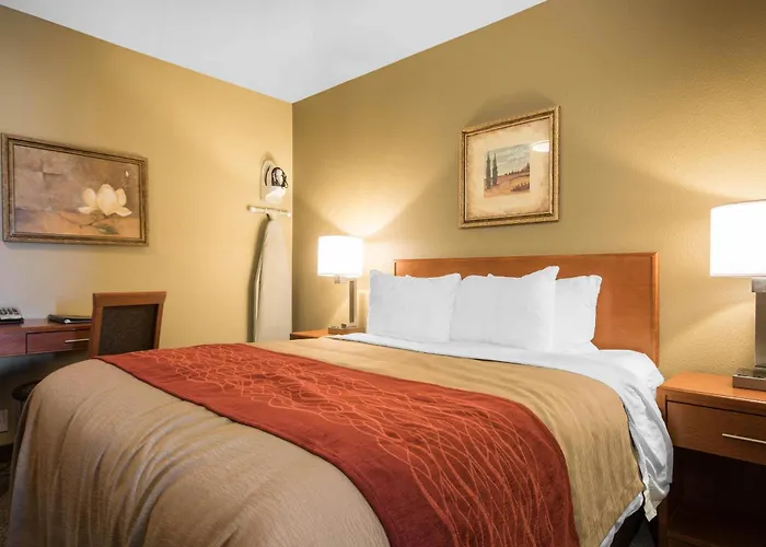 Comfort Inn & Suites