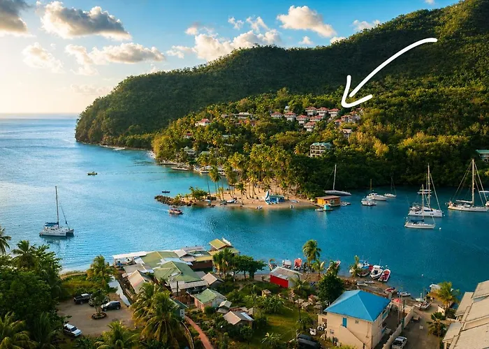 Oasis Marigot