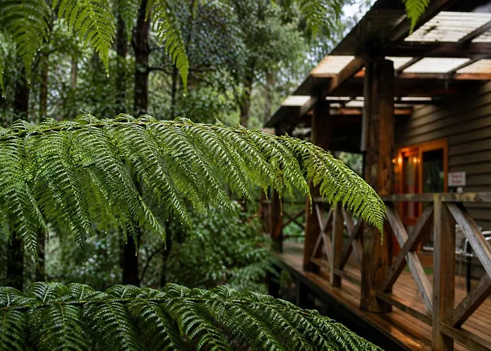 Cradle Forest Inn