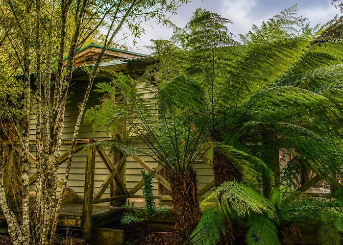 Cradle Forest Inn