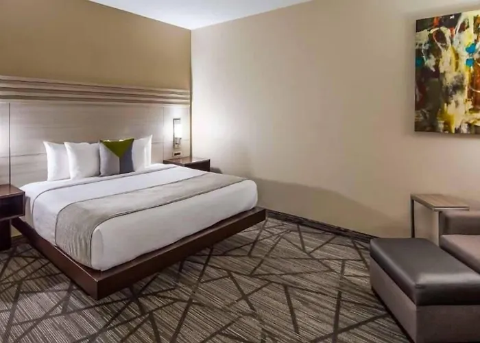 Comfort Inn & Suites Houston I-45 North - Iah