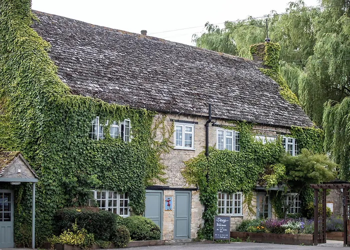 Rose Revived By Chef & Brewer Collection