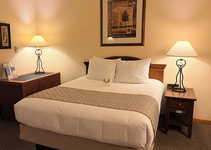 Whitetail Creek Resort
