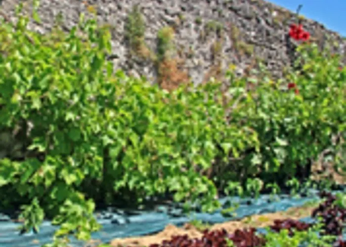 Domaine Le Martinet, The Originals Relais