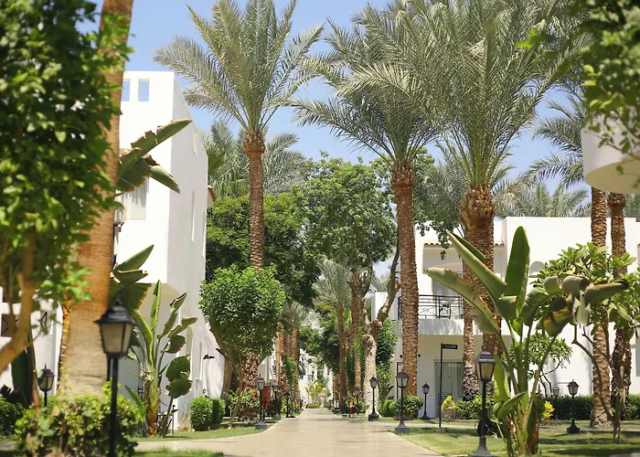 Jaz Fanara Residence