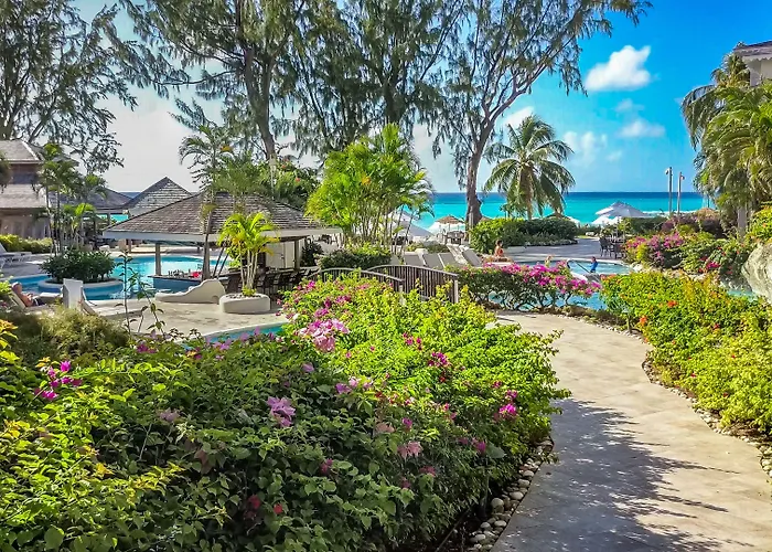 Bougainvillea Barbados Christ Church