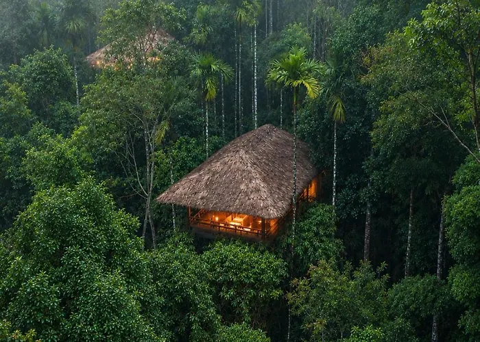 The Woods Resorts Wayanad